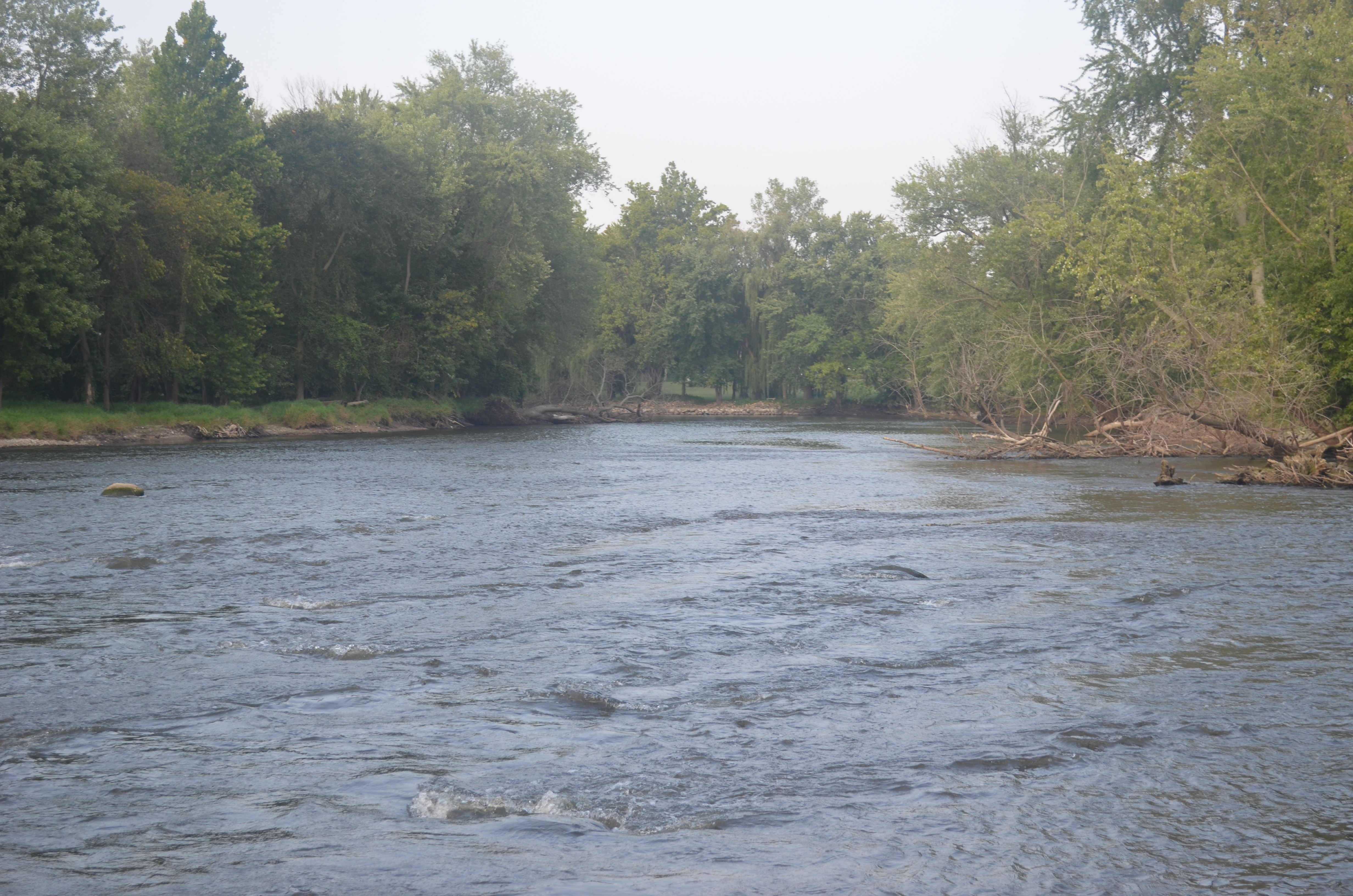 Big river habitat in the Upper Peninsula