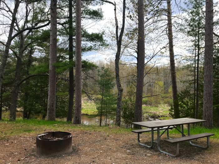 Ocqueoc Falls State Forest Campground