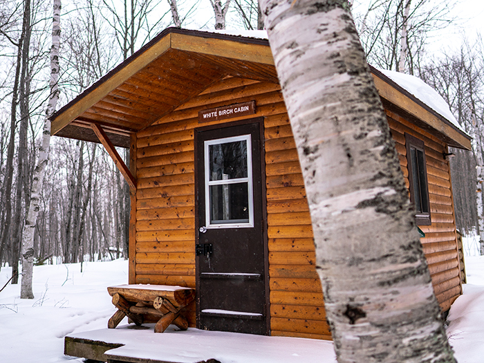 Porcupine Mountains Backcountry Rustic Cabins Detail